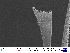  ( - UMBergen_DIOWA_MH55)  @11 [ ] No Rights Reserved (2018) Unspecified University of Bergen