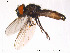  ( - FiDip104)  @14 [ ] CreativeCommons - Attribution Non-Commercial Share-Alike (2012) NTNU Museum of Natural History and Archaeology NTNU Museum of Natural History and Archaeology