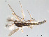 ( - FiDip107)  @13 [ ] CreativeCommons - Attribution Non-Commercial Share-Alike (2012) NTNU Museum of Natural History and Archaeology NTNU Museum of Natural History and Archaeology