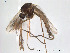  ( - FiDip114)  @14 [ ] CreativeCommons - Attribution Non-Commercial Share-Alike (2012) NTNU Museum of Natural History and Archaeology NTNU Museum of Natural History and Archaeology