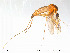  ( - FiDip118)  @12 [ ] CreativeCommons - Attribution Non-Commercial Share-Alike (2012) NTNU Museum of Natural History and Archaeology NTNU Museum of Natural History and Archaeology