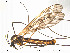  ( - FiDip125)  @12 [ ] CreativeCommons - Attribution Non-Commercial Share-Alike (2012) NTNU Museum of Natural History and Archaeology NTNU Museum of Natural History and Archaeology