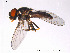  ( - FiDip21)  @13 [ ] CreativeCommons - Attribution Non-Commercial Share-Alike (2012) NTNU Museum of Natural History and Archaeology NTNU Museum of Natural History and Archaeology