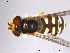  ( - FiDip28)  @13 [ ] CreativeCommons - Attribution Non-Commercial Share-Alike (2012) NTNU Museum of Natural History and Archaeology NTNU Museum of Natural History and Archaeology