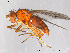  ( - FiDip49)  @14 [ ] CreativeCommons - Attribution Non-Commercial Share-Alike (2012) NTNU Museum of Natural History and Archaeology NTNU Museum of Natural History and Archaeology