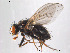  ( - FiDip55)  @13 [ ] CreativeCommons - Attribution Non-Commercial Share-Alike (2012) NTNU Museum of Natural History and Archaeology NTNU Museum of Natural History and Archaeology