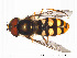  ( - FiDip94)  @13 [ ] CreativeCommons - Attribution Non-Commercial Share-Alike (2012) NTNU Museum of Natural History and Archaeology NTNU Museum of Natural History and Archaeology