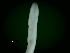  ( - ITP PLB_15-3-MOL)  @11 [ ] CreativeCommons - Attribution Non-Commercial Share-Alike (2017) Pablo Londone ITP