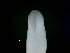  ( - ITP PLB_17-1-MOL)  @11 [ ] CreativeCommons - Attribution Non-Commercial Share-Alike (2017) Pablo Londone ITP