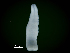  ( - ITP PLB_18-1-MOL)  @11 [ ] CreativeCommons - Attribution Non-Commercial Share-Alike (2017) Pablo Londone ITP