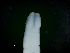  ( - ITP PLB_18-2-MOL)  @11 [ ] CreativeCommons - Attribution Non-Commercial Share-Alike (2017) Pablo Londone ITP