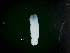  ( - ITP PLB_18-4-MOL)  @11 [ ] CreativeCommons - Attribution Non-Commercial Share-Alike (2017) Pablo Londone ITP