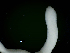  ( - ITP PLB_19-1-MOL)  @11 [ ] CreativeCommons - Attribution Non-Commercial Share-Alike (2017) Pablo Londone ITP