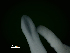  ( - ITP PLB_19-6-MOL)  @11 [ ] CreativeCommons - Attribution Non-Commercial Share-Alike (2017) Pablo Londone ITP