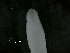  ( - ITP PLB_6-1-MOL)  @11 [ ] CreativeCommons - Attribution Non-Commercial Share-Alike (2017) Pablo Londone ITP