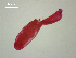  ( - D.IN.SSO.Ld.1F.2)  @13 [ ] Copyright (2010) Unspecified Environment Canada