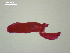  ( - D.IN.SSO.Ld.1F.27)  @13 [ ] Copyright (2010) Unspecified Environment Canada