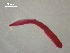  ( - D.IN.SSO.Ld.2F.6)  @13 [ ] Copyright (2010) Unspecified Environment Canada