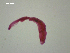  ( - D.IN.SSO.Ld.2F.7)  @13 [ ] Copyright (2010) Unspecified Environment Canada