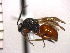  ( - DBI-16)  @13 [ ] CreativeCommons - Attribution Non-Commercial Share-Alike  Unspecified Unspecified