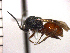  ( - DBI-17)  @13 [ ] CreativeCommons - Attribution Non-Commercial Share-Alike  Unspecified Unspecified