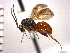  ( - DBI-18)  @13 [ ] CreativeCommons - Attribution Non-Commercial Share-Alike  Unspecified Unspecified
