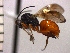  ( - DBI-20)  @14 [ ] CreativeCommons - Attribution Non-Commercial Share-Alike  Unspecified Unspecified