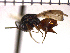  ( - DBI-3)  @13 [ ] CreativeCommons - Attribution Non-Commercial Share-Alike  Unspecified Unspecified