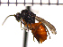  ( - DBI-5)  @13 [ ] CreativeCommons - Attribution Non-Commercial Share-Alike  Unspecified Unspecified
