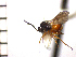  ( - DFU-ON5)  @13 [ ] No Rights Reserved  Unspecified Unspecified