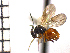  ( - DFU-ON6)  @13 [ ] No Rights Reserved  Unspecified Unspecified