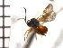  ( - DFU-ON7)  @13 [ ] No Rights Reserved  Unspecified Unspecified