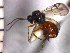 ( - DG-18)  @13 [ ] Unspecified (default): All Rights Reserved  Unspecified Unspecified