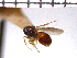  ( - DG-2)  @13 [ ] Unspecified (default): All Rights Reserved  Unspecified Unspecified