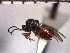  ( - DG-20)  @13 [ ] Unspecified (default): All Rights Reserved  Unspecified Unspecified