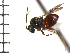  ( - DI-1)  @11 [ ] Unspecified (default): All Rights Reserved  Unspecified Unspecified
