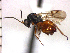  ( - DI-12)  @11 [ ] Unspecified (default): All Rights Reserved  Unspecified Unspecified