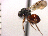  ( - DI-16)  @12 [ ] Unspecified (default): All Rights Reserved  Unspecified Unspecified