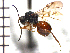 ( - DI-3)  @12 [ ] Unspecified (default): All Rights Reserved  Unspecified Unspecified
