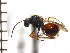  ( - DI-7)  @11 [ ] Unspecified (default): All Rights Reserved  Unspecified Unspecified