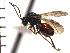  ( - DI-8)  @13 [ ] Unspecified (default): All Rights Reserved  Unspecified Unspecified