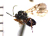  ( - DNE-AB10)  @12 [ ] Unspecified (default): All Rights Reserved  Unspecified Unspecified
