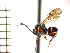  ( - DNE-AB16)  @14 [ ] Unspecified (default): All Rights Reserved  Unspecified Unspecified