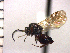  ( - DNE-AB17)  @14 [ ] Unspecified (default): All Rights Reserved  Unspecified Unspecified