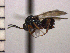  ( - DNE-AB2)  @11 [ ] Unspecified (default): All Rights Reserved  Unspecified Unspecified