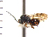  ( - DNE-AB20)  @14 [ ] Unspecified (default): All Rights Reserved  Unspecified Unspecified