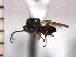  ( - DNE-AB3)  @11 [ ] Unspecified (default): All Rights Reserved  Unspecified Unspecified