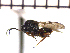  ( - DNE-AB4)  @11 [ ] Unspecified (default): All Rights Reserved  Unspecified Unspecified