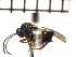  ( - DNE-AB5)  @12 [ ] Unspecified (default): All Rights Reserved  Unspecified Unspecified