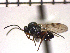  ( - DNE-AB7)  @12 [ ] Unspecified (default): All Rights Reserved  Unspecified Unspecified